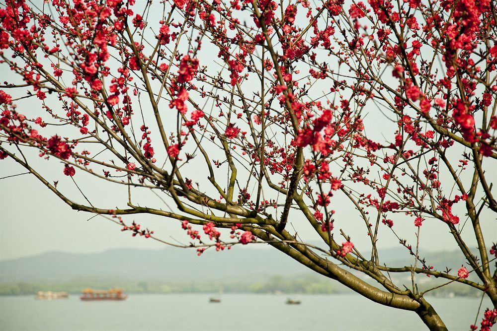 Liuying Hotel West Lake Hangzhou Exterior foto